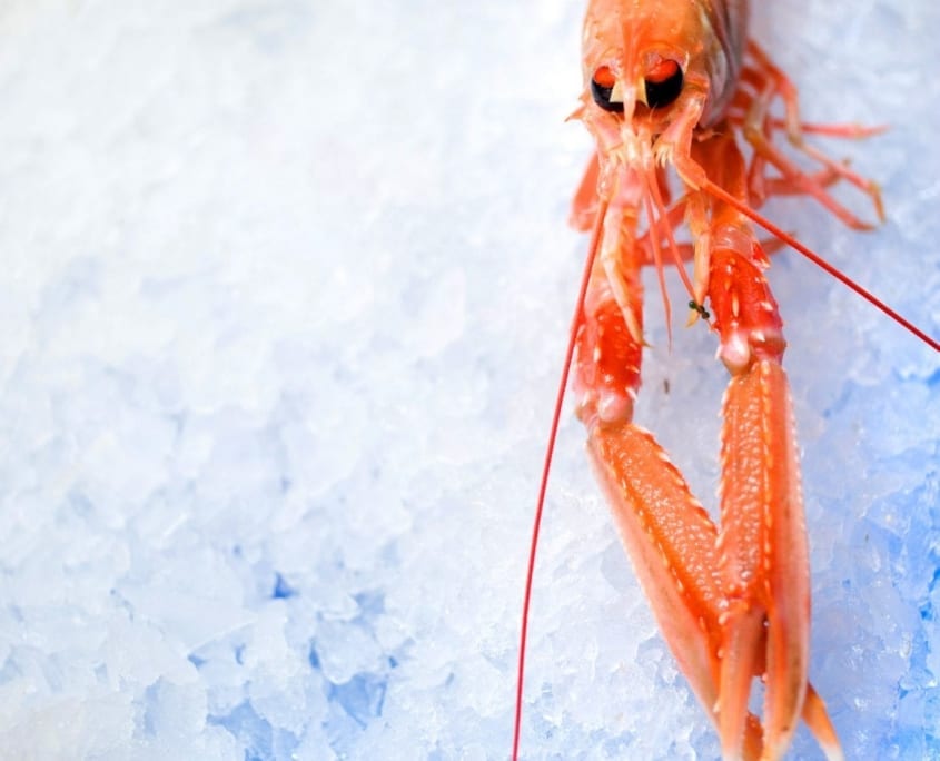 Award Winning Seafood Deli Latimers Seafood