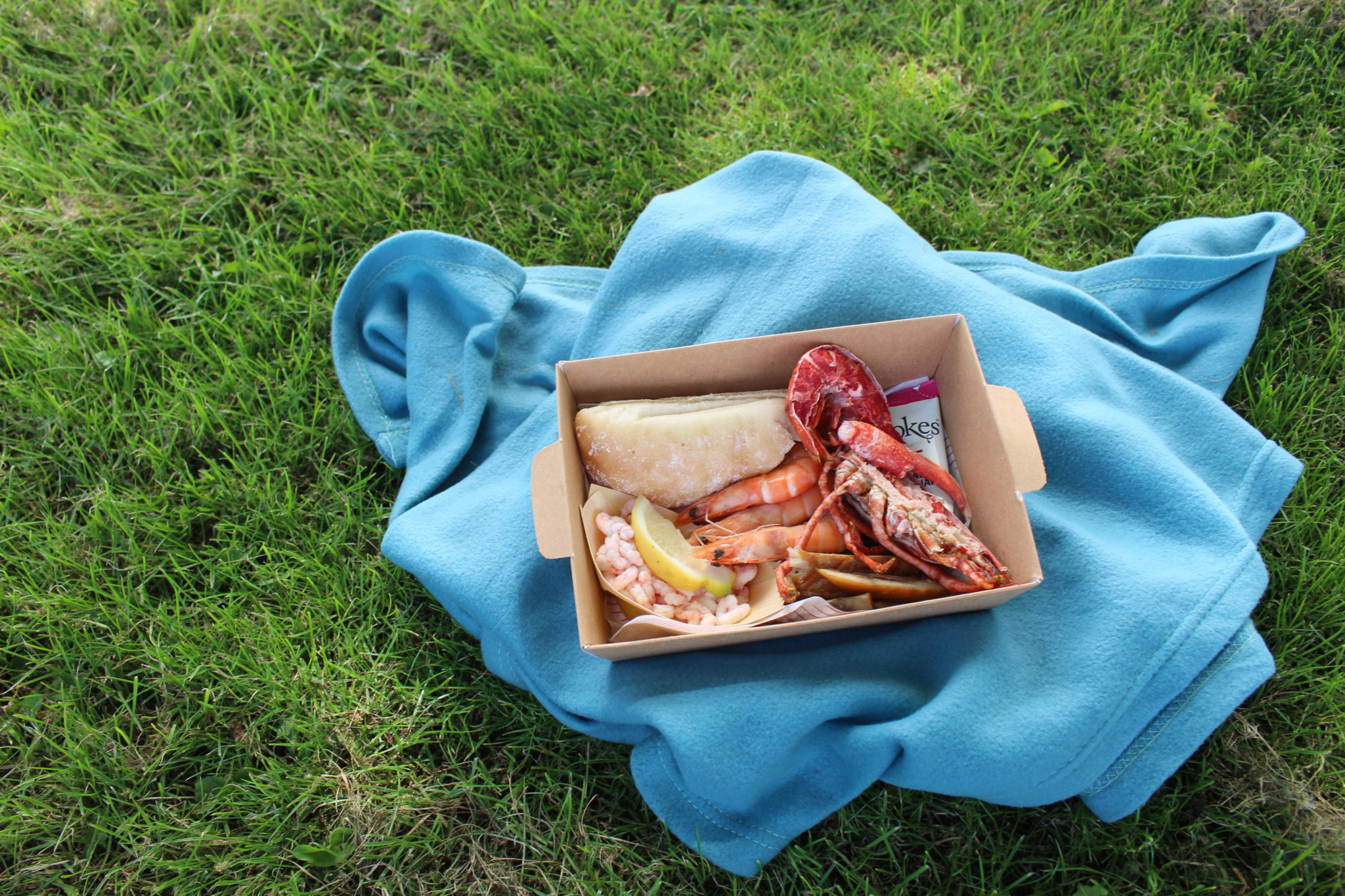 Lobster Picnic Box - Image 4